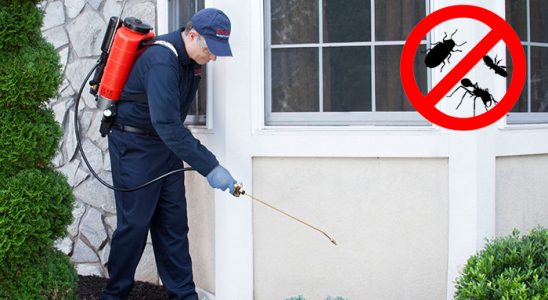 Eleşkirt Fare İlaçlama böcek ilaçlama ve haşere kontrolü — ilaclama-tr.com